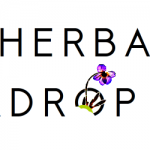 Le projet Herbadrop à l’honneur